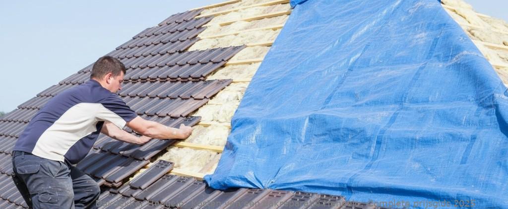 Kosten Van Een Dakreparatie Hengelo