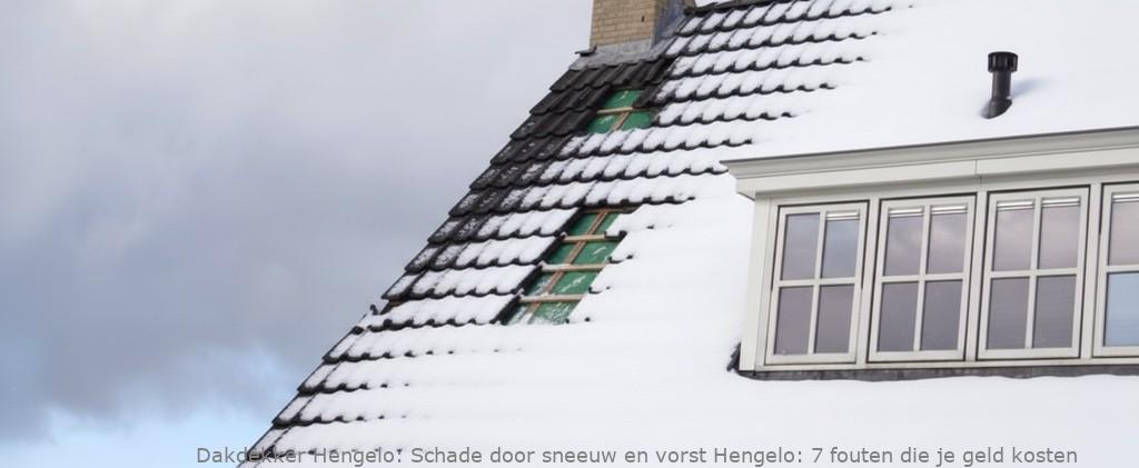 Schade Door Sneeuw En Vorst Hengelo